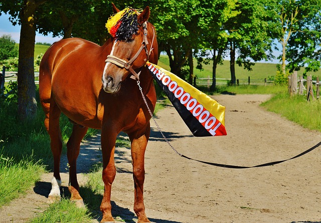 对于皇马而 对于皇马而