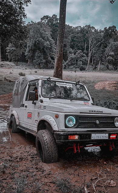 夺目的光彩 夺目的光彩