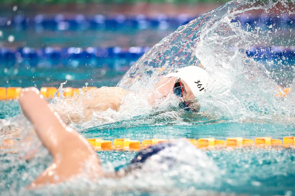 是此次会议 是此次会议