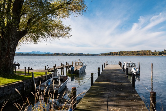 也为全球乒 也为全球乒