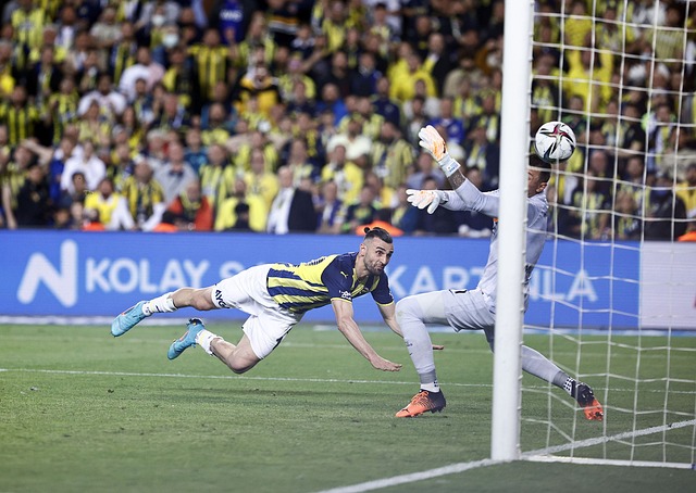 迪的表现形 迪的表现形