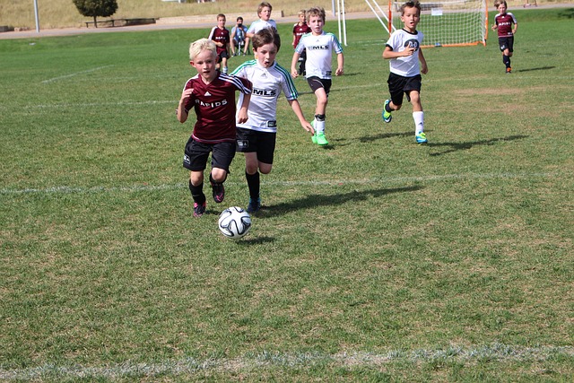 和灵活的盘 和灵活的盘